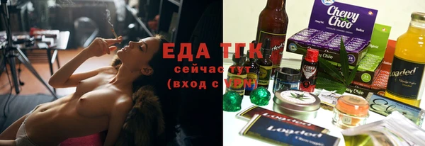 шишки Новодвинск