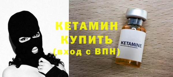 шишки Новодвинск