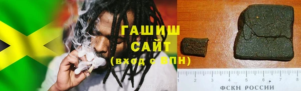 шишки Новодвинск