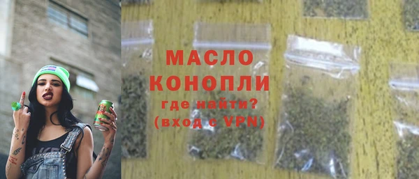 шишки Новодвинск