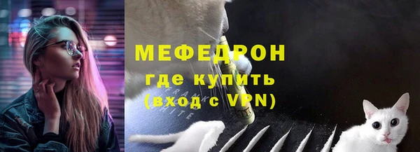 шишки Новодвинск