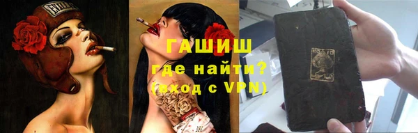 шишки Новодвинск