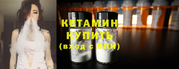 шишки Новодвинск