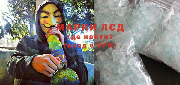 шишки Новодвинск