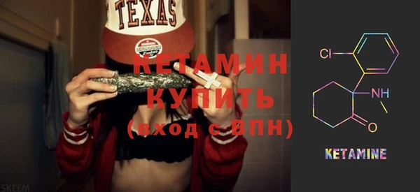шишки Новодвинск