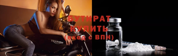 шишки Новодвинск