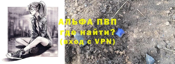 шишки Новодвинск