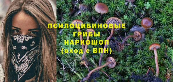гашишное масло Новокубанск