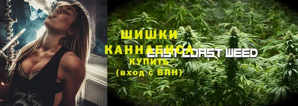 шишки Новодвинск