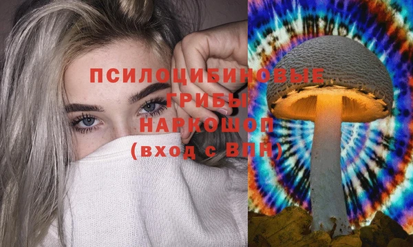 Альфа ПВП Няндома