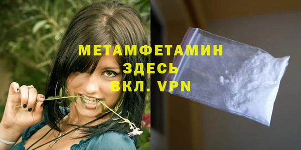 шишки Новодвинск