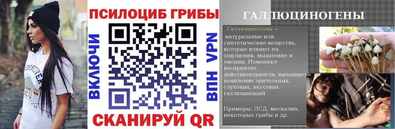 Галлюциногенные грибы Magic Shrooms  Киселёвск 